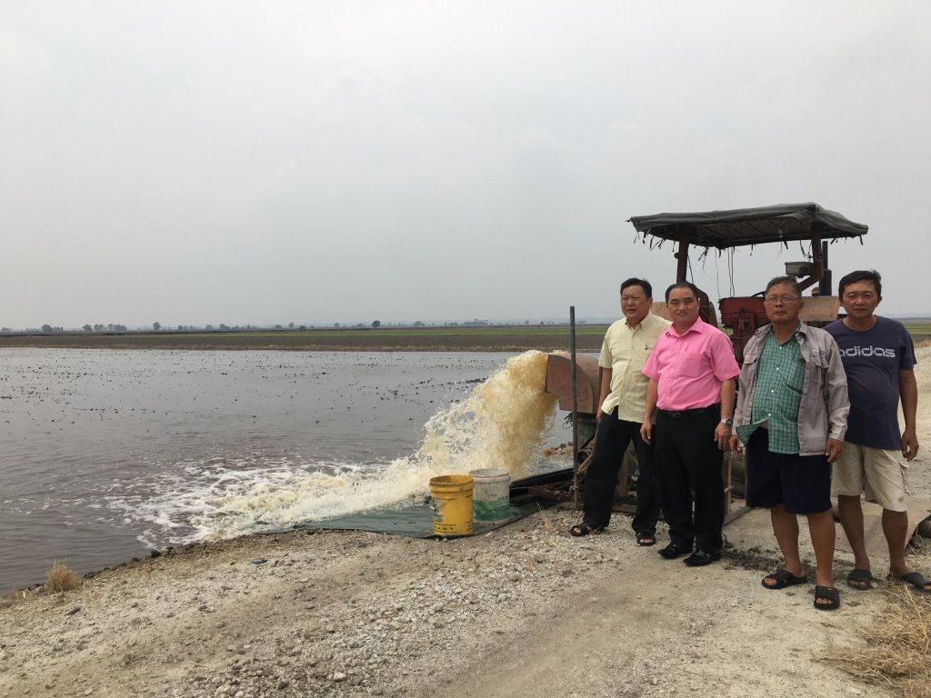 农业部水利局安排欠当  适耕庄稻田播种期闹水荒
