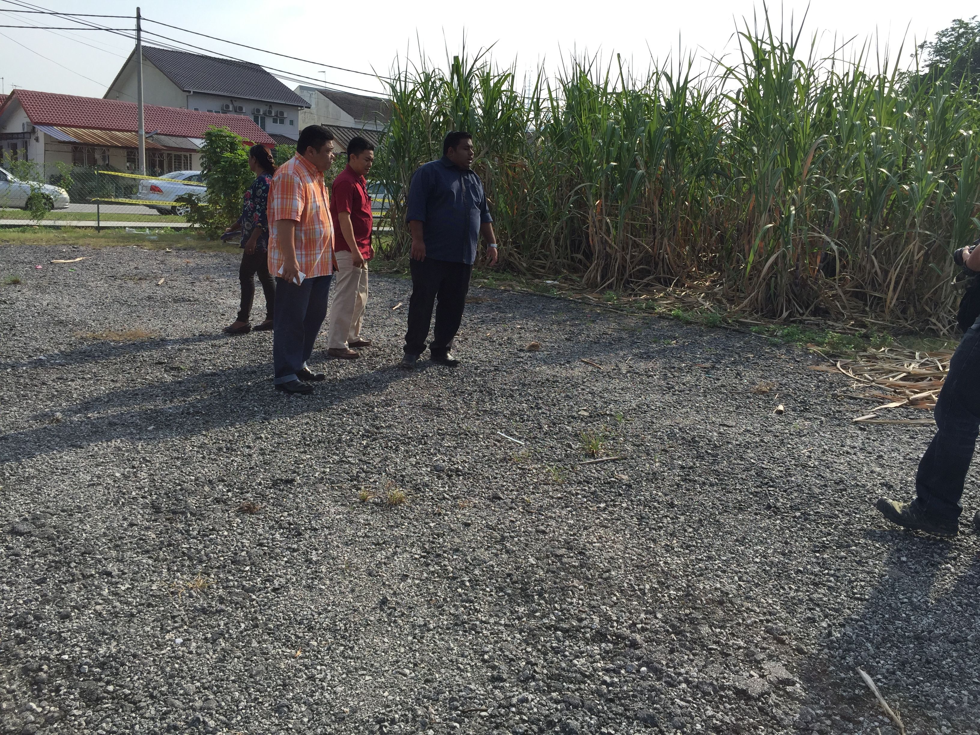 业者霸公园地拒撤离  灵市政厅清空非法疏果园