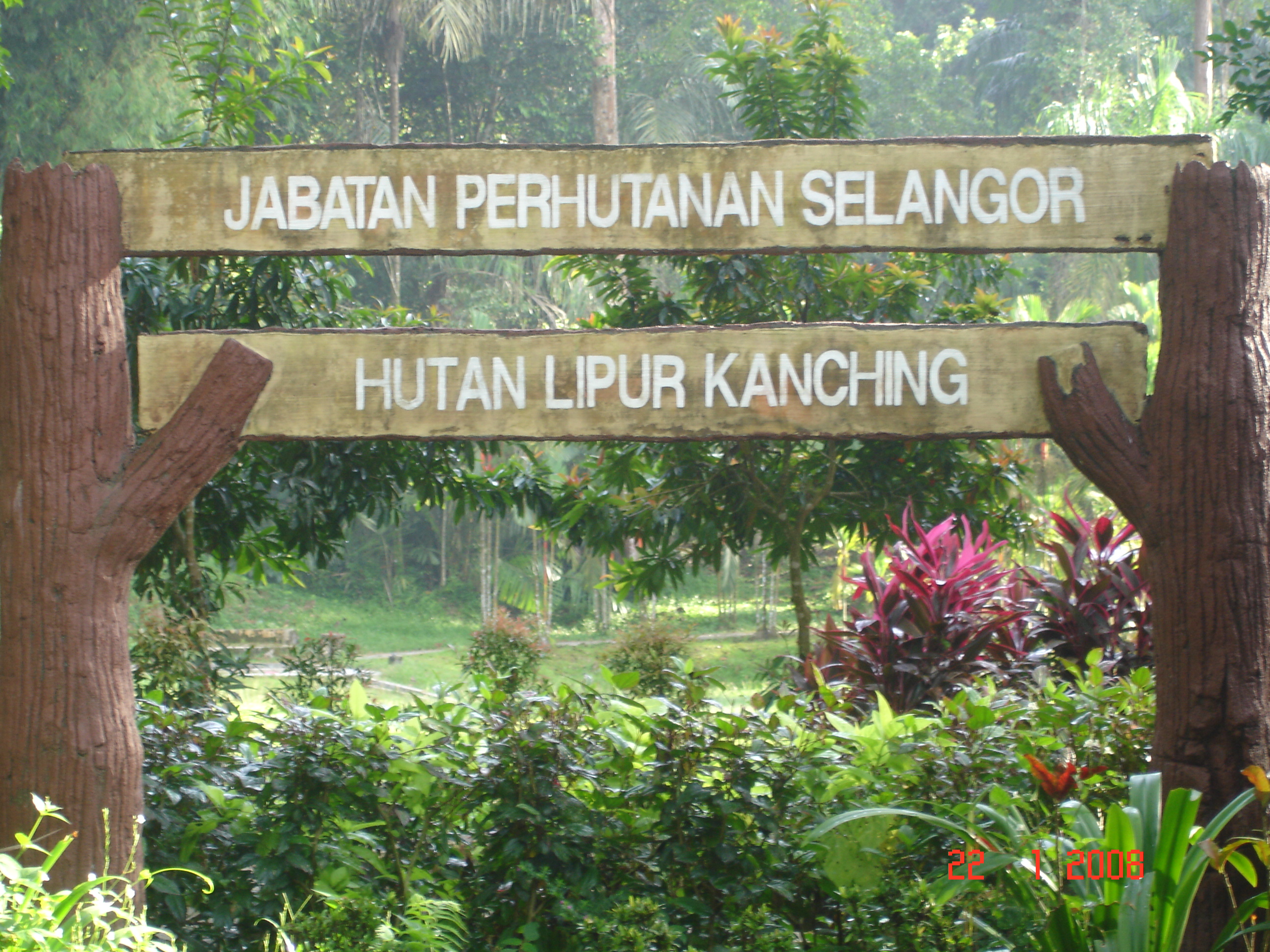 Keluasan Hutan Simpan Kekal meningkat kepada 33 peratus