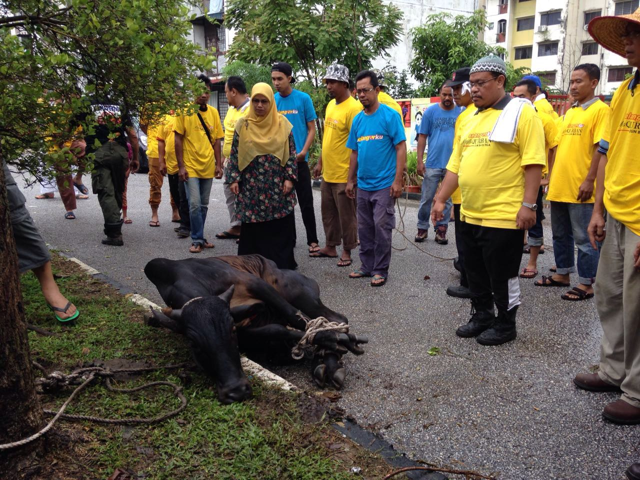 Batu Tiga tradition reveals true ‘qurban’ meaning to the youth