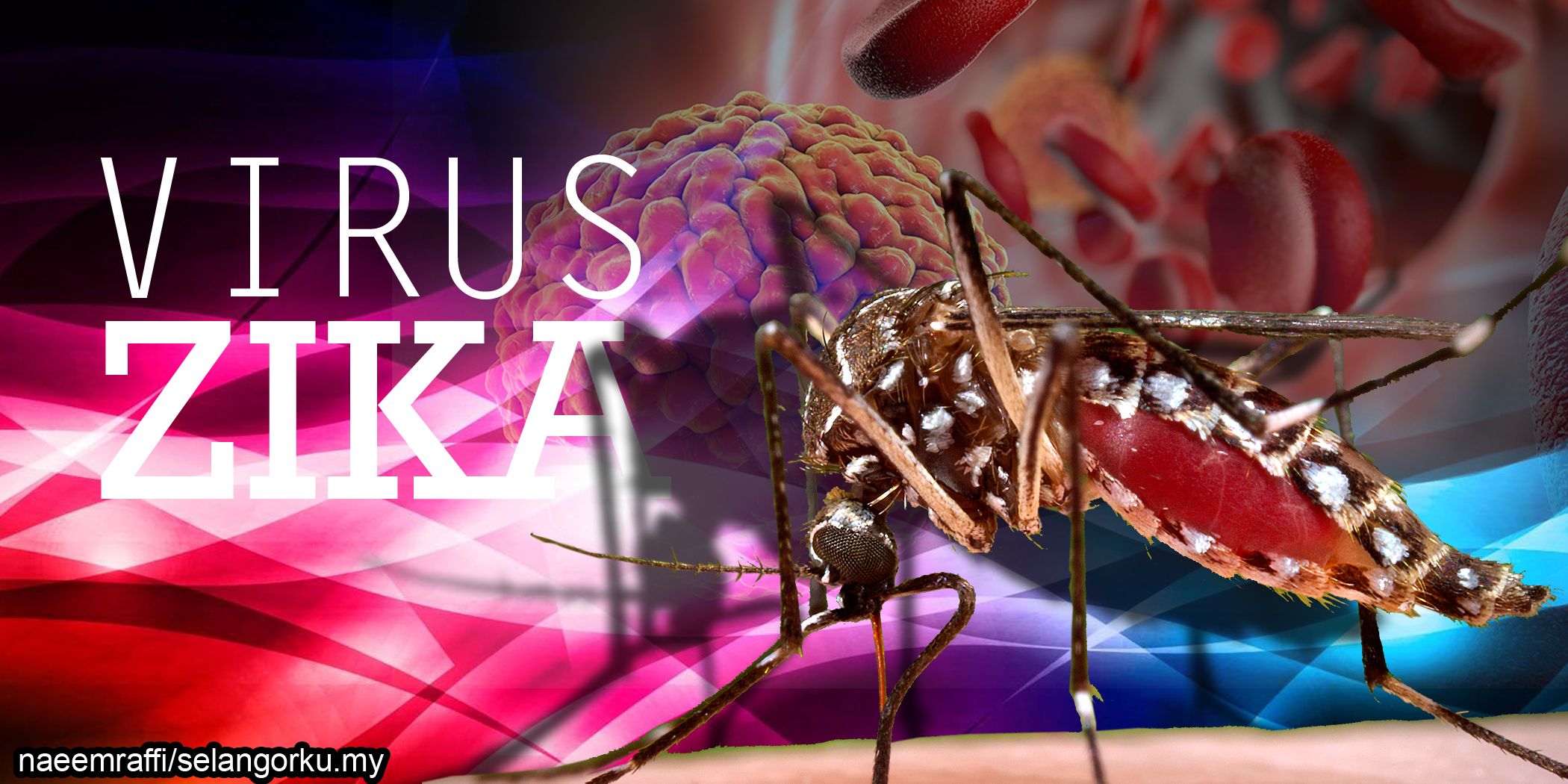 Petaling Jaya man confirmed 8th Zika case