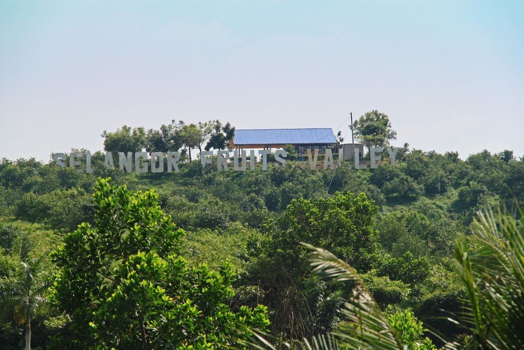 Selangor Fruit Valley satu lagi mercu tanda Selangor
