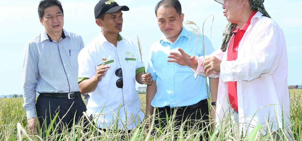 நெல் விவசாயிகளுக்கு  அளிக்கப்பட்ட  உதவியில் பாரபட்சம்  இல்லை