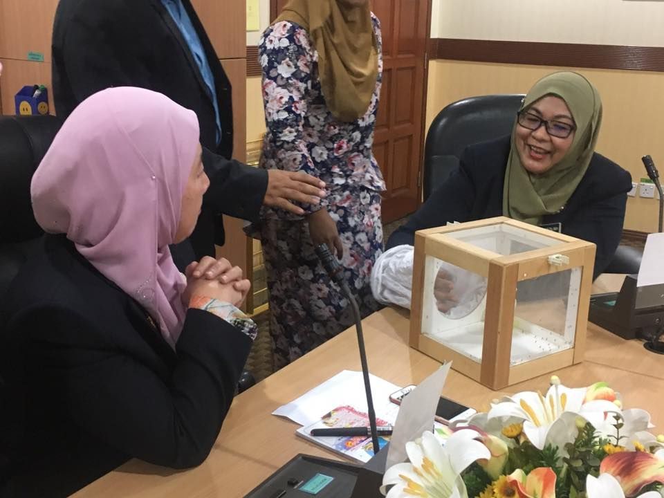 释含沃巴赫氏菌蚊子  雪州配合灭黑斑蚊