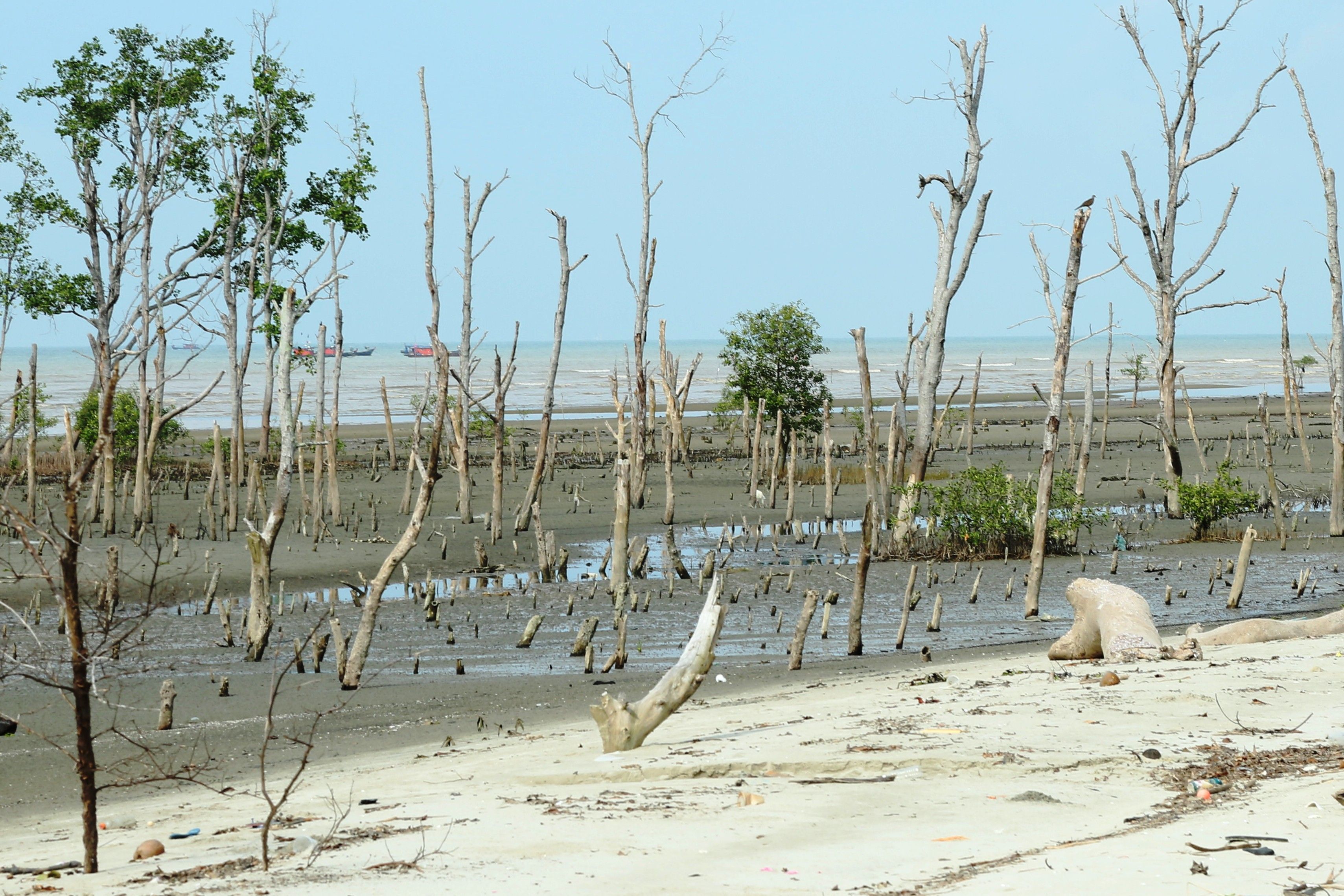 RM6 juta naik taraf kemudahan Pantai Tanjung Sepat dan Pantai Batu Laut