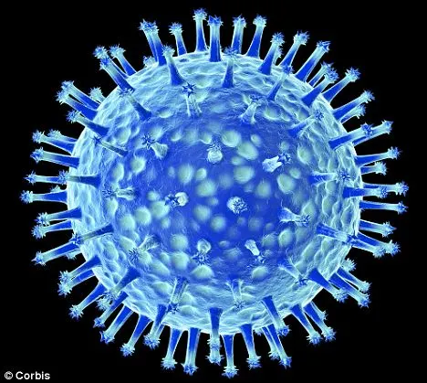 澳洲忧H5N1疫情爆发 撤麦夸里岛24名科研人员