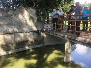 蓄水池受污染“臭”死鱼  巴生市会火速清理