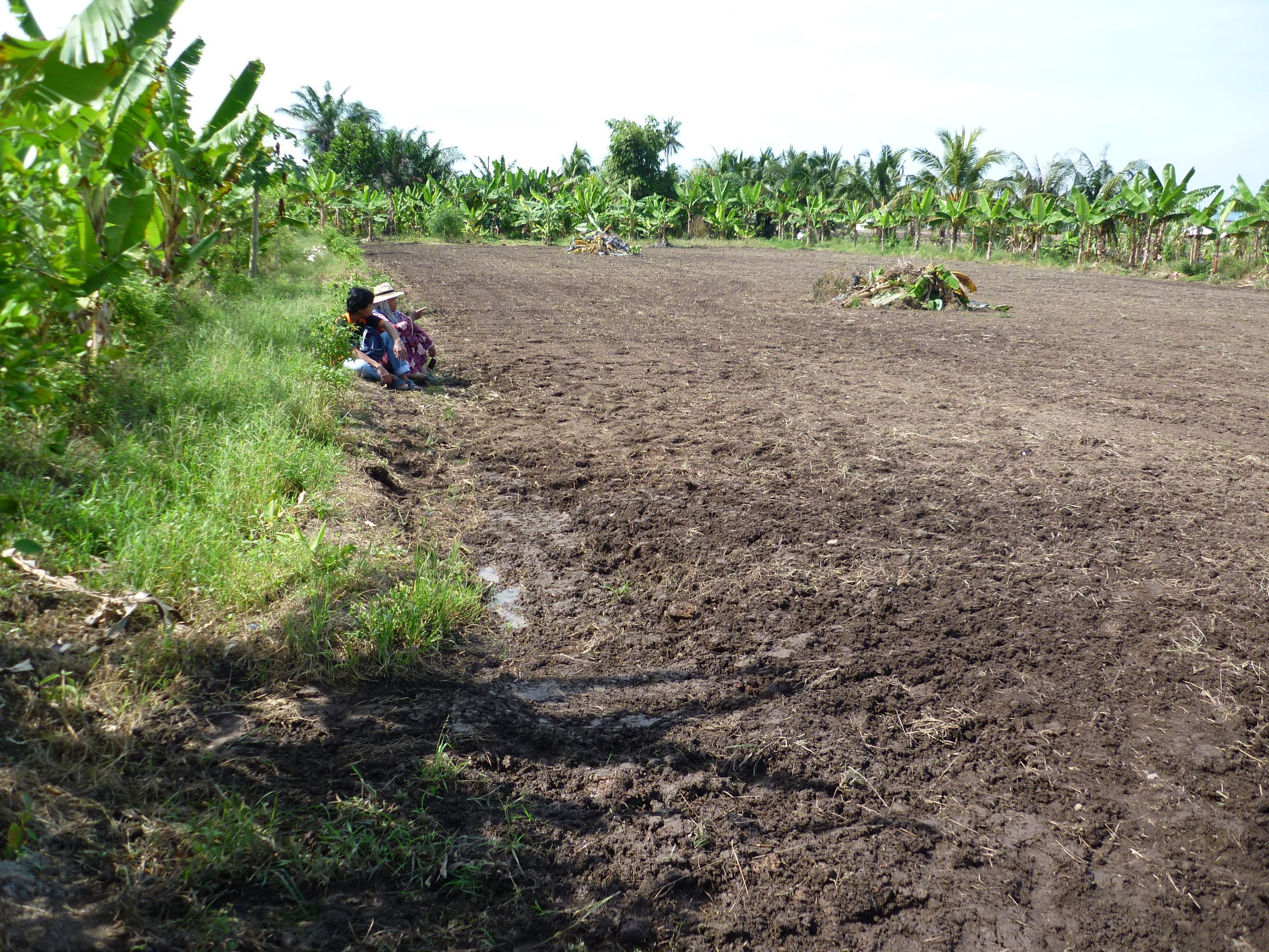 瓜雪农业局找地主  发展2000公顷荒废地