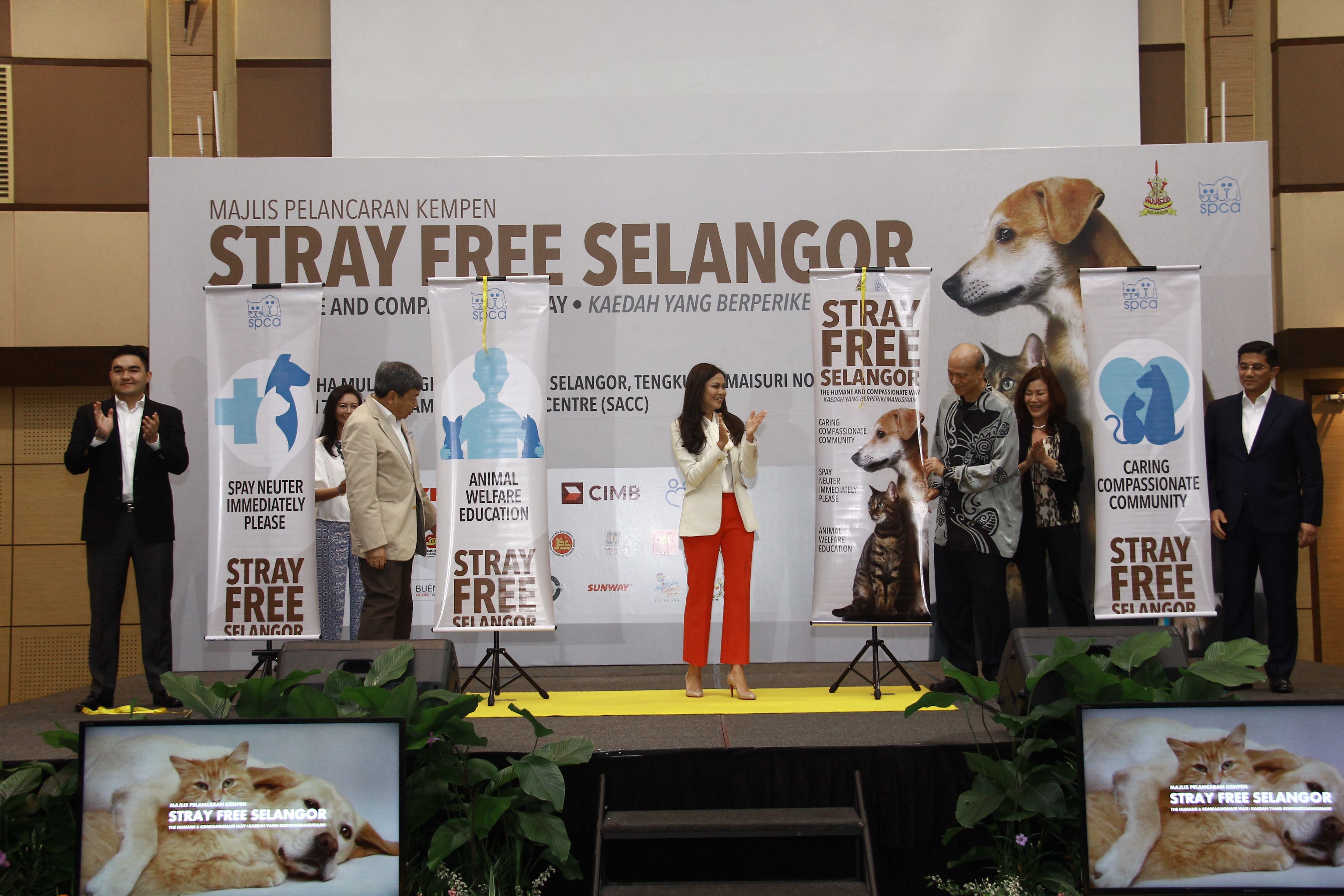 雪政府与防虐协会合作  唤醒关爱流浪动物意识