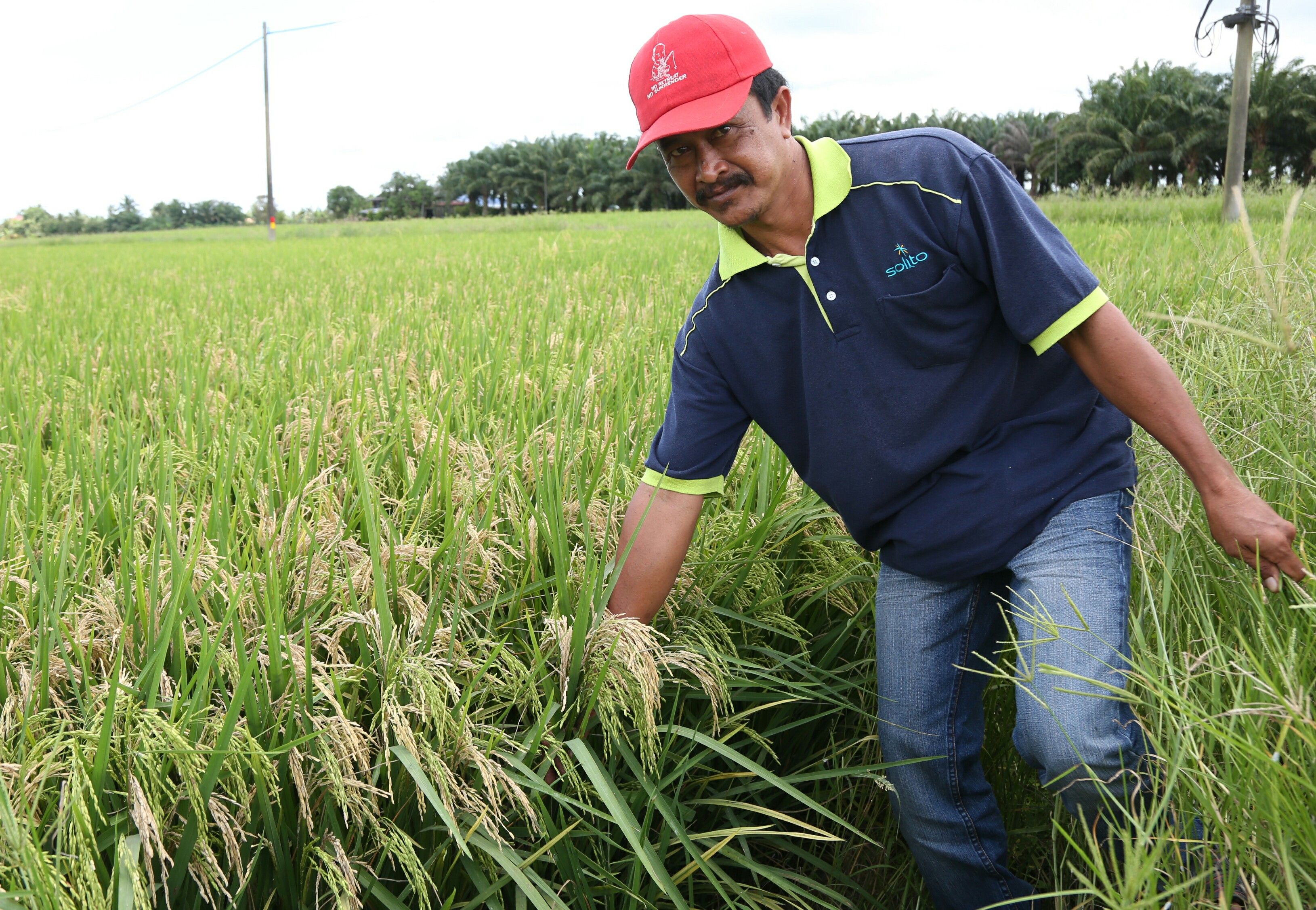 Selangor dahului inisiatif bantu petani