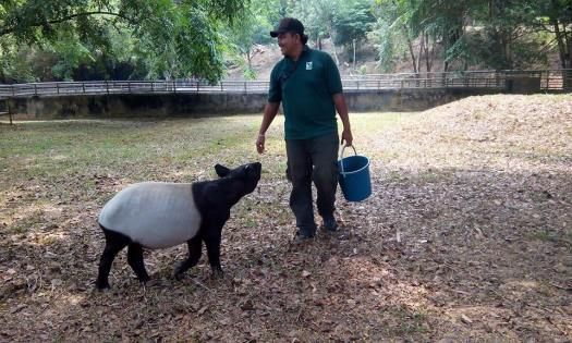 驾驶者须注意警示牌  免撞及受保护动物