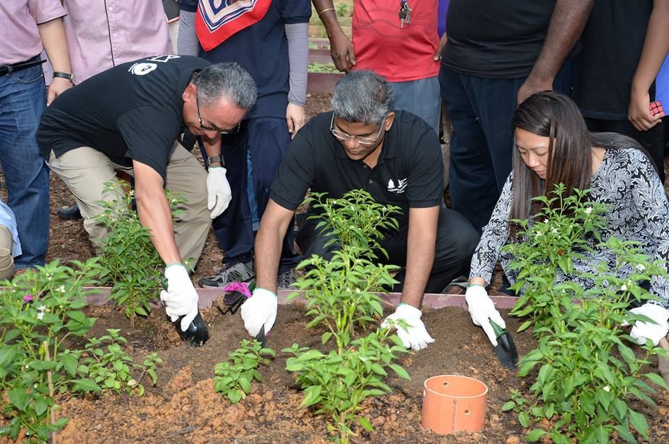 灵市推广“我们的菜园”计划