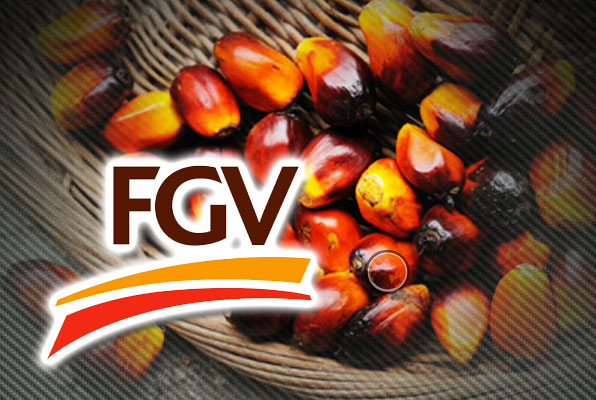 Pengerusi ANAK: Malapetaka bermula bila FGV disenaraikan