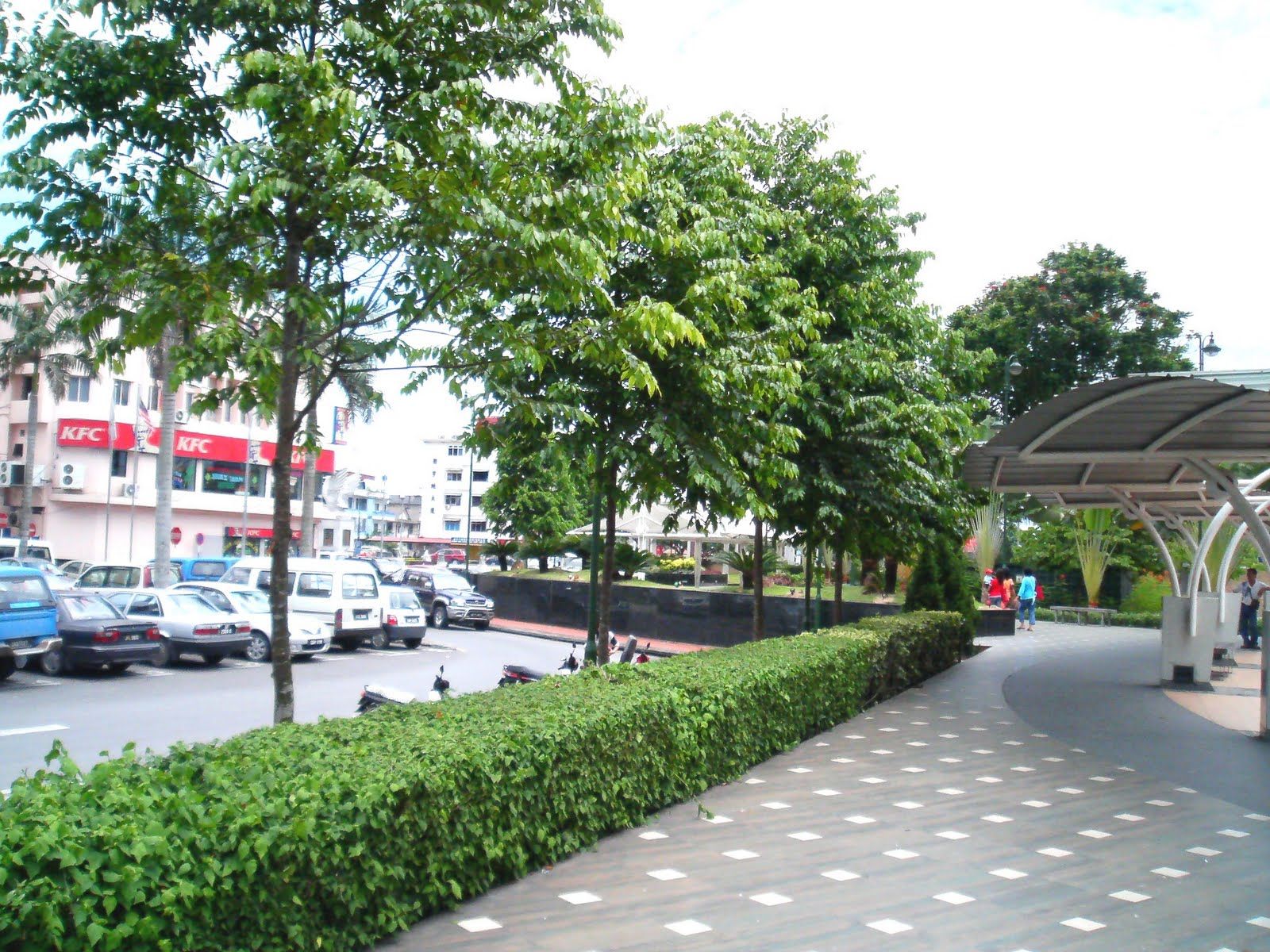 கண்டிரி ஹோம்ஸ் நகரத்தில் 'பைன்' மரத்திற்கு பதில் 'மெராவான்'