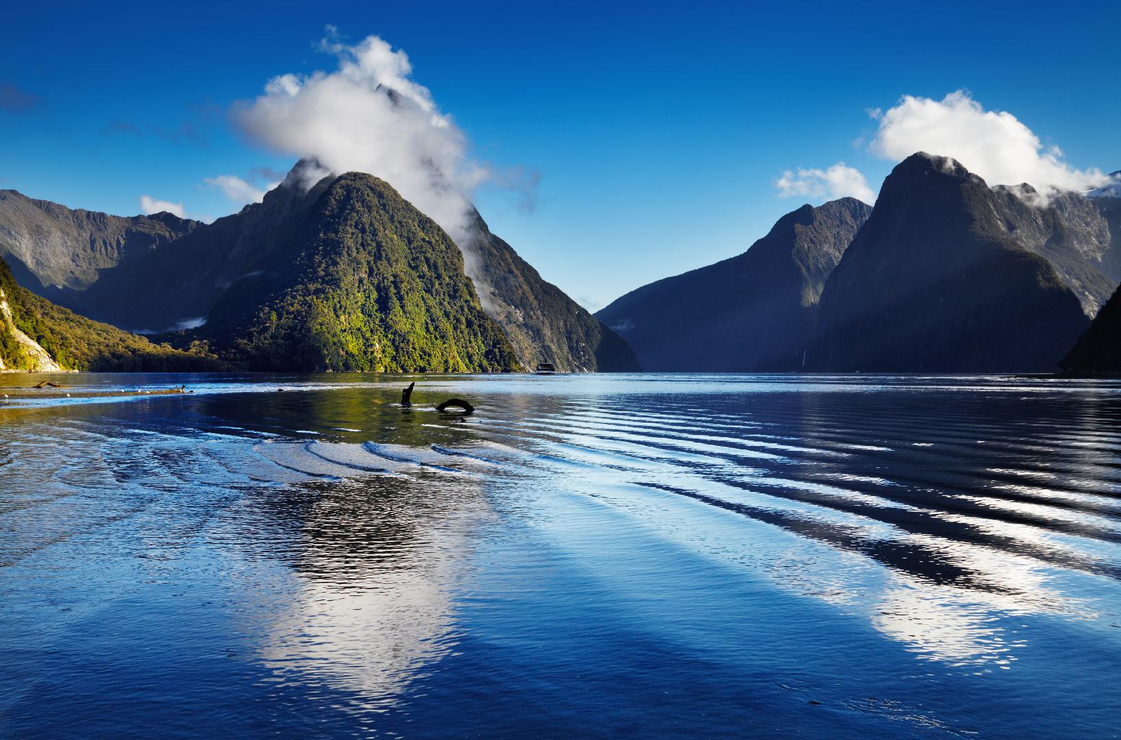 Pelancong ke New Zealand dikenakan bayaran levi bermula 1 Julai