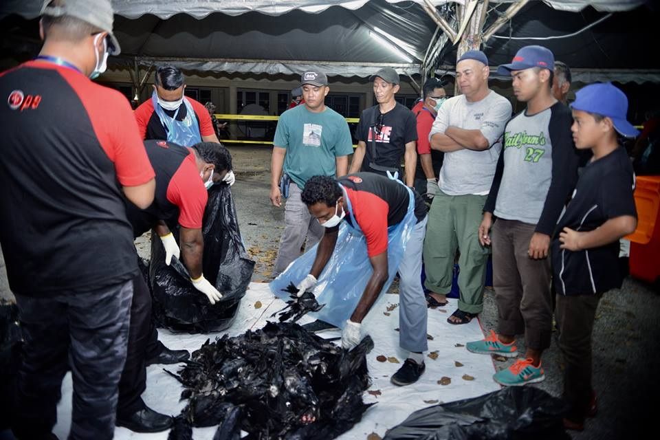 灵市市厅在27热点地区射杀乌鸦 5年接195宗乌鸦滋扰投诉