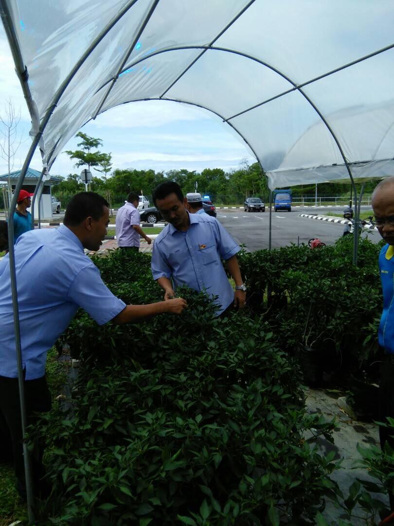 Fertigation concept attracts youth