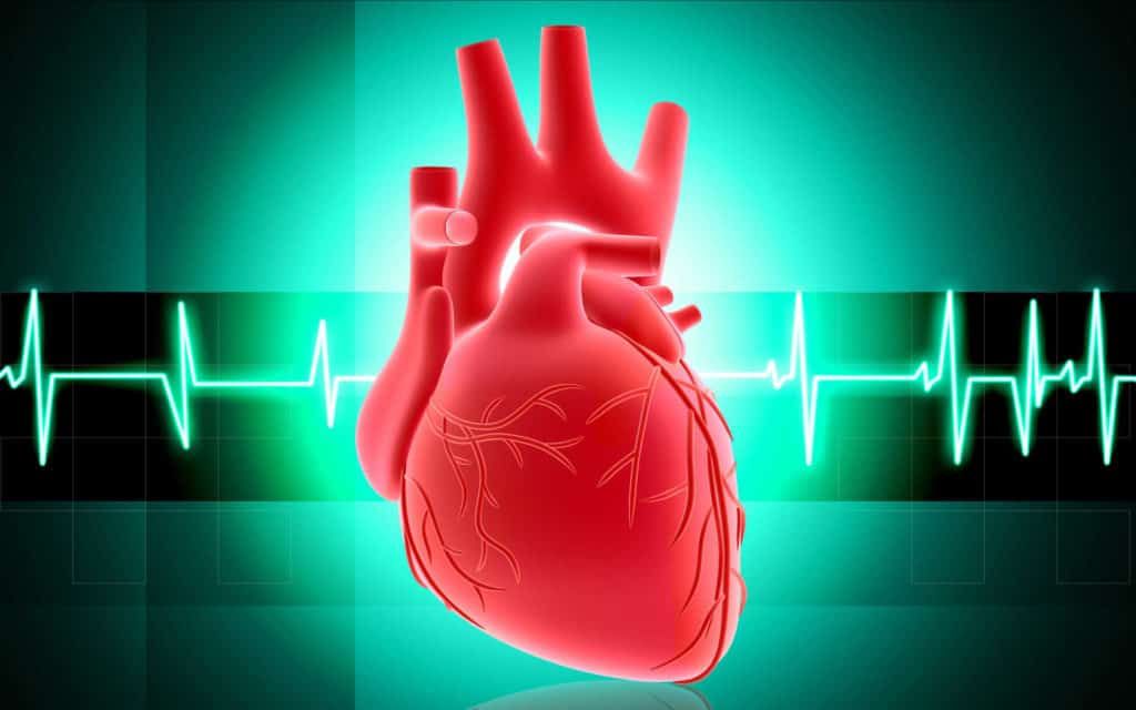 缺血性心脏病成大马人杀手  去年夺走逾1.8万人命