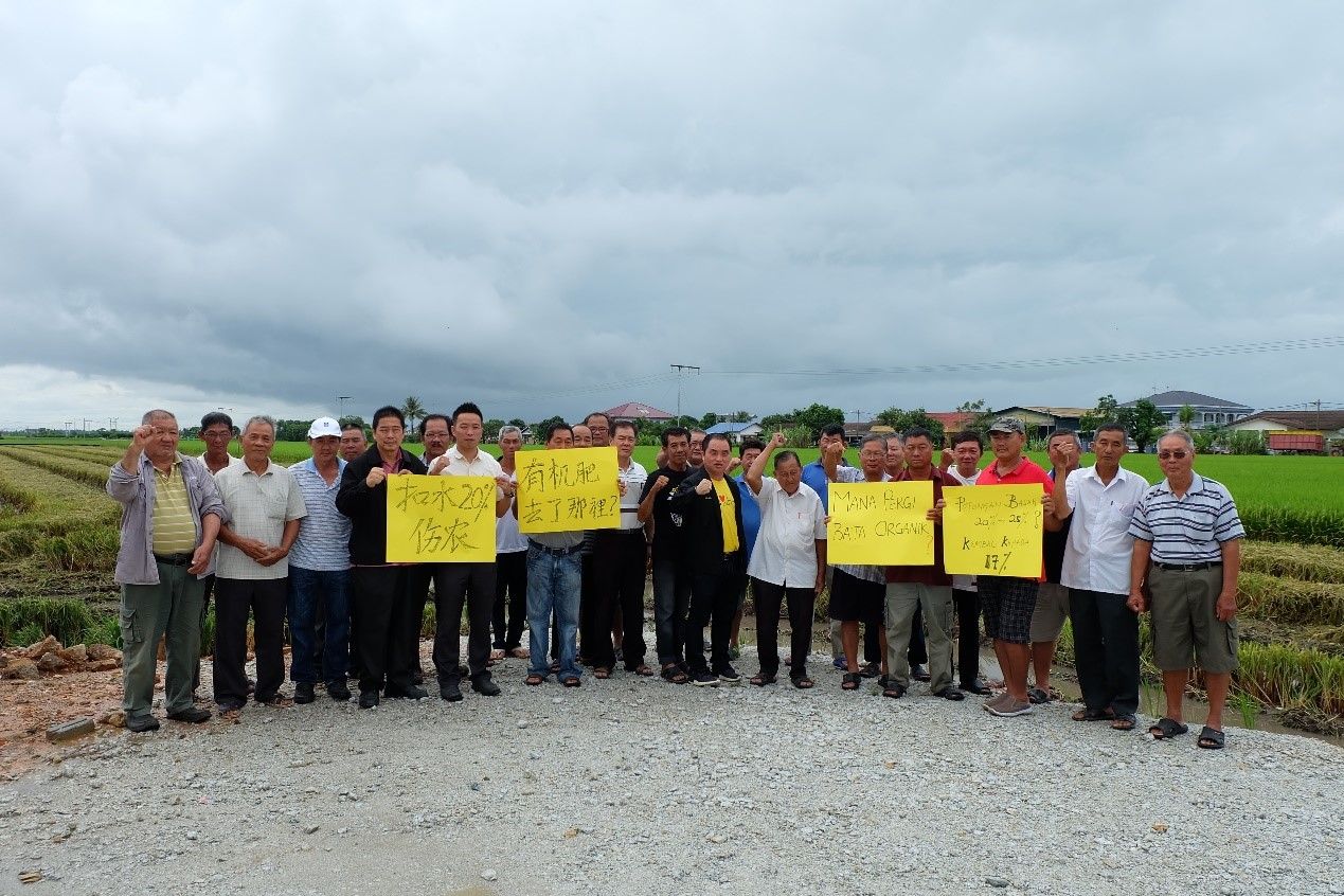 征20%扣水率.拖欠肥料  促农业部关注稻农生计