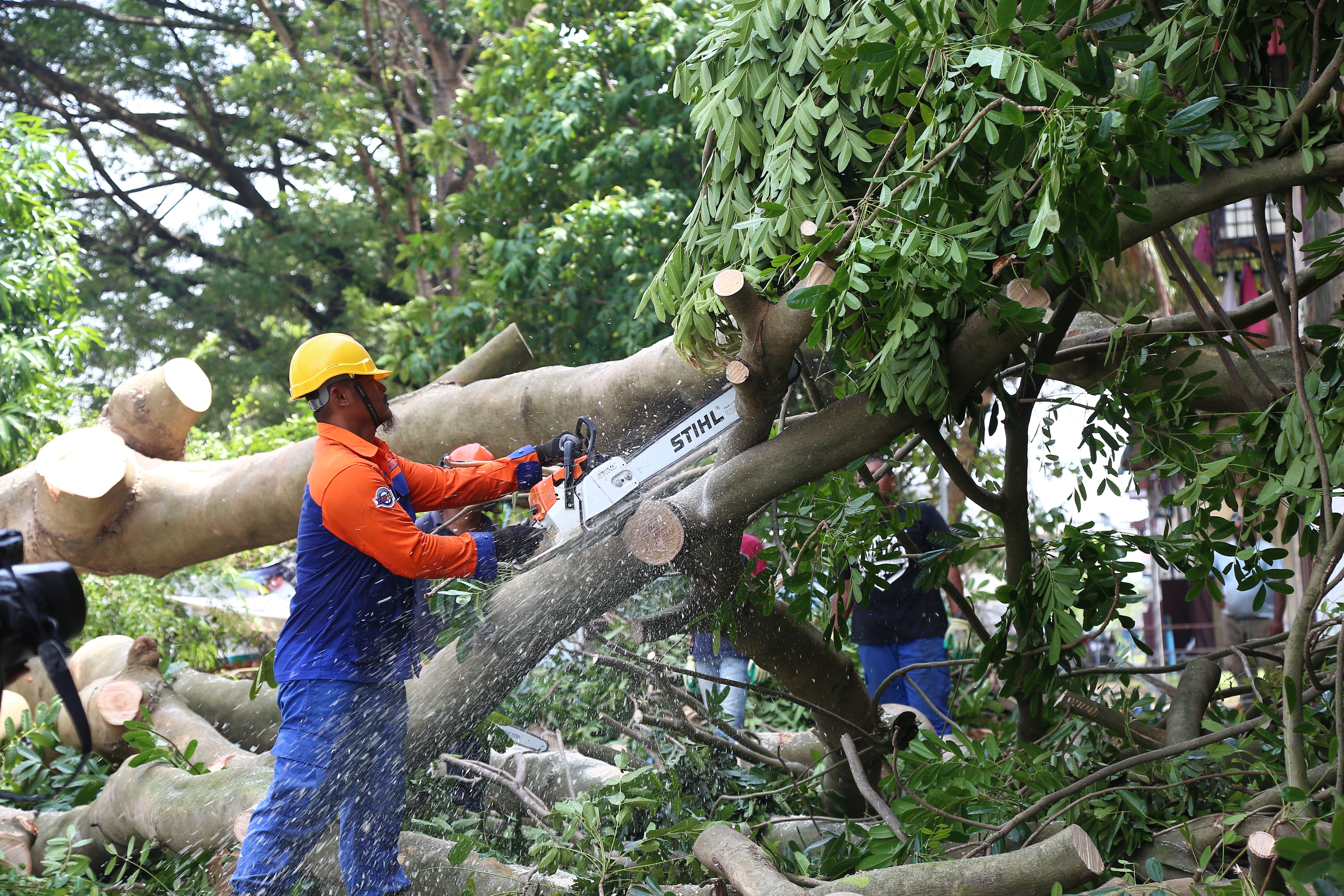 எம்டிகெஎல் & எம்டிஎச்எஸ் 'பந்தாஸ்' குழுவினர் அடுக்குமாடி மீது சாய்ந்த ராட்ஷத மரங்களை துப்புரவு செய்தது