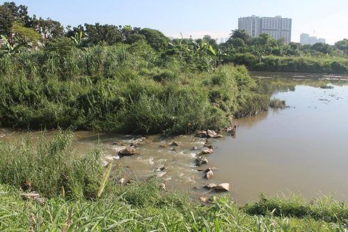 建情人桥设树屋美化  古腰河变身旅游景点