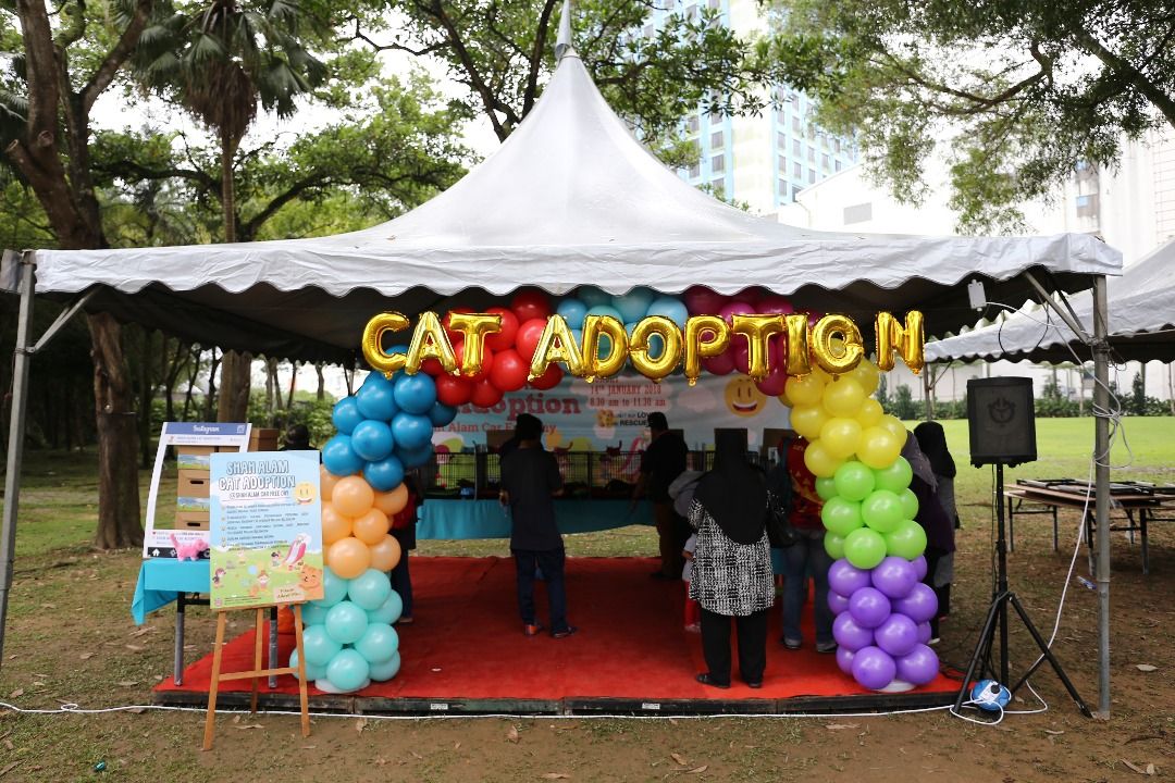 Shah Alam Cat Adoption diteruskan, kawal populasi kucing terbiar