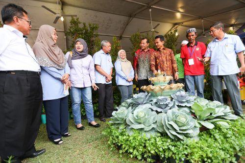 Selangor pertimbang tanah TOL untuk pengusaha industri bunga