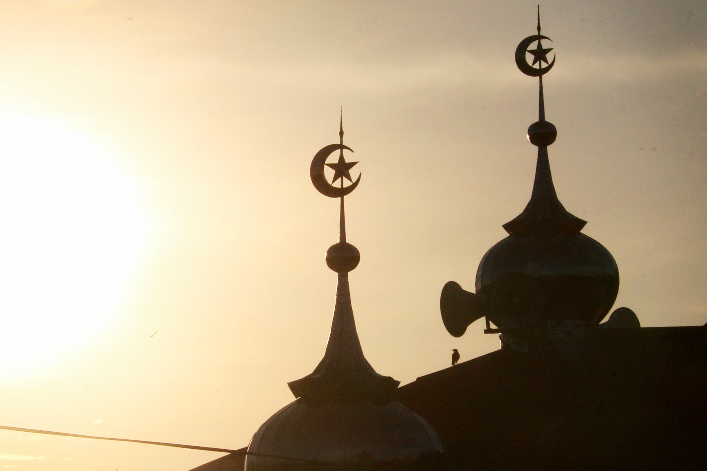 25 masjid baru dibina, usaha popular konsep wakaf dipuji Sultan