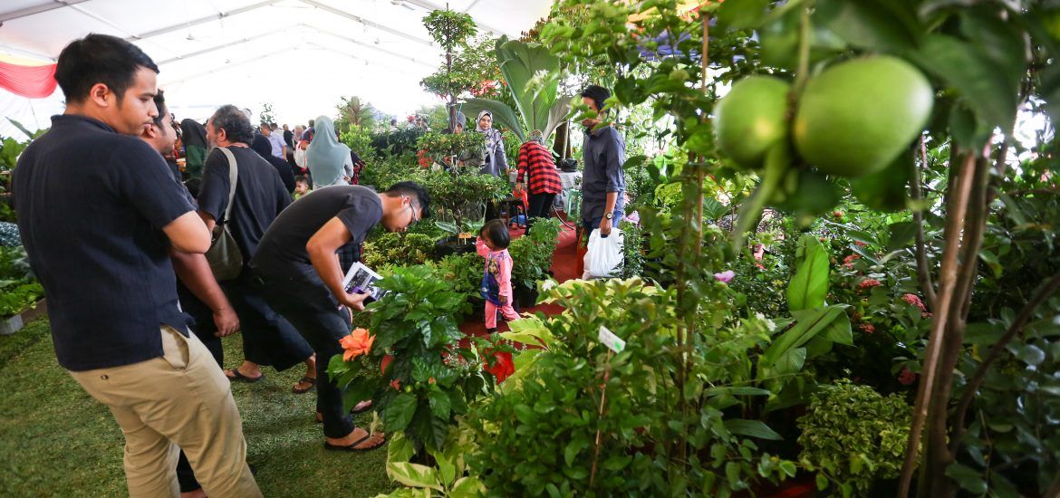 Tak mustahil Sungai Buloh jadi hub floris no 1 Malaysia