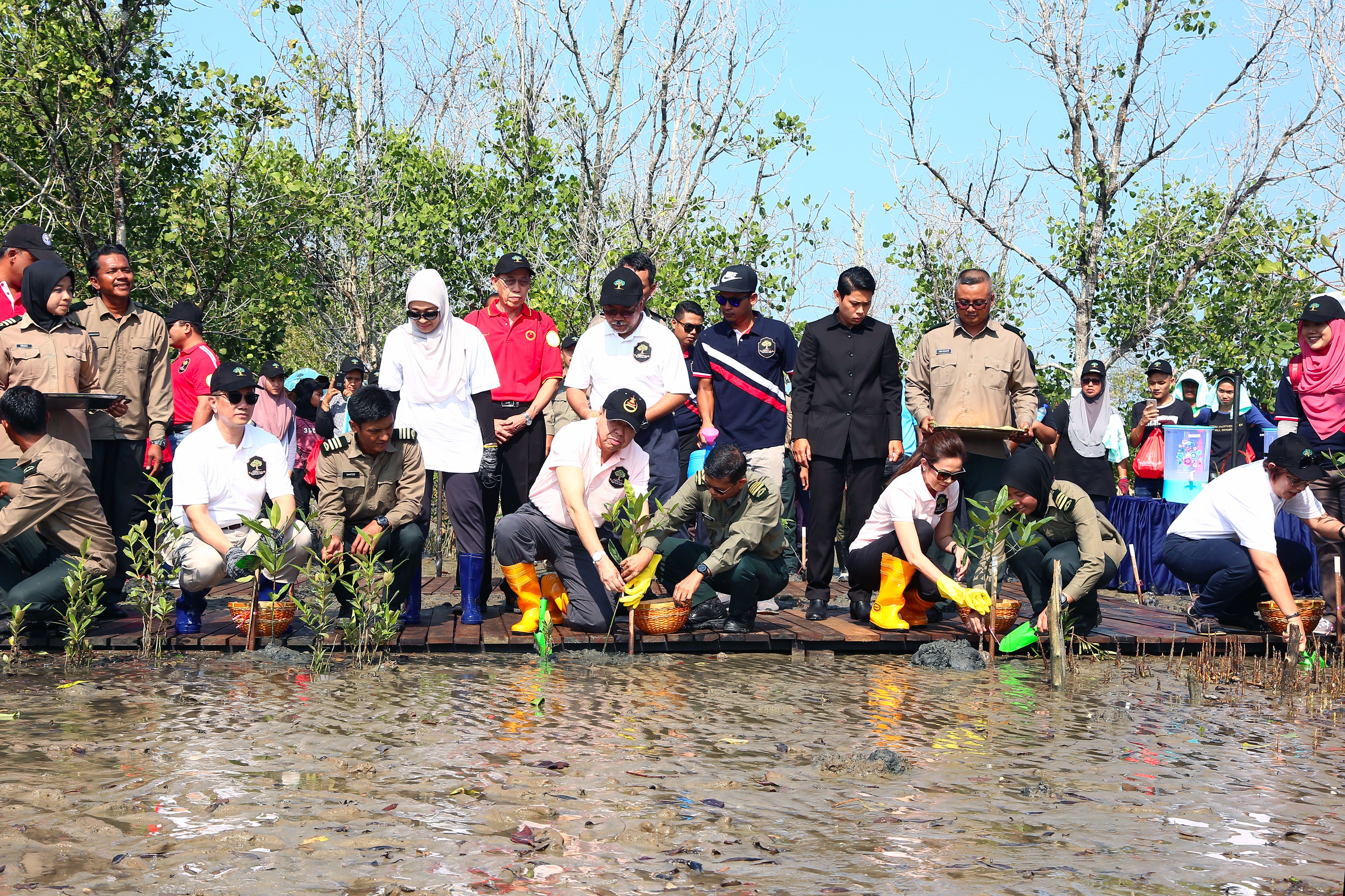 Sultan perkenan DNS pinda Enakmen Akta Perhutanan Negara 1985
