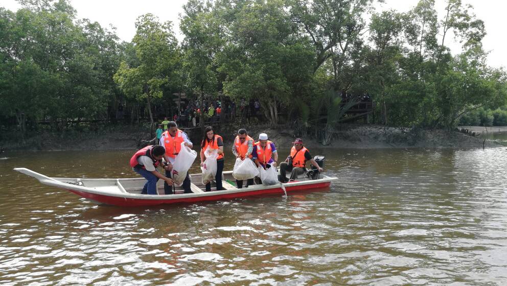 1,000 ikan dilepaskan demi pemuliharaan paya bakau