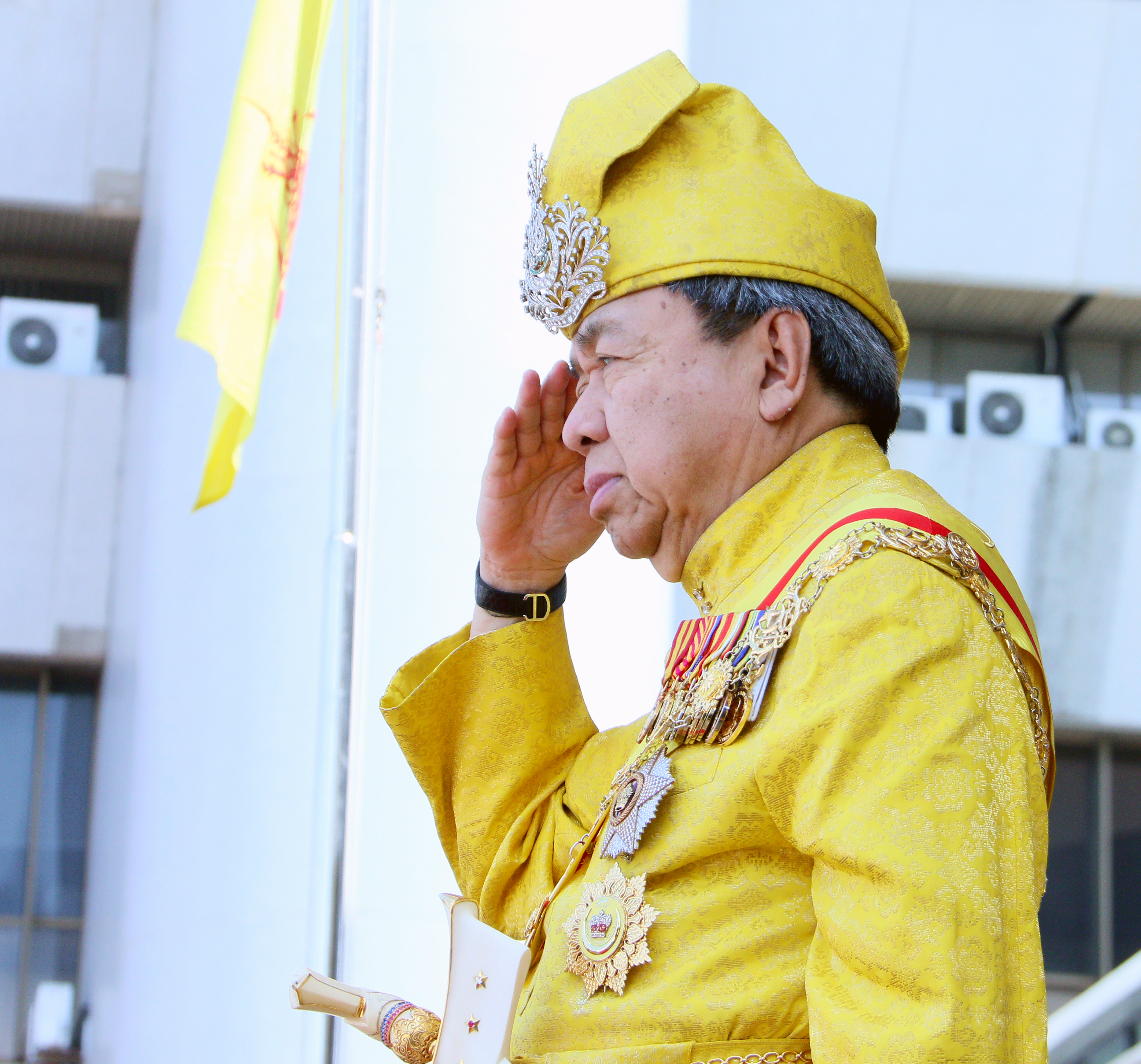 Junjung titah nasihat Sultan, DNS mercu tanda demokrasi