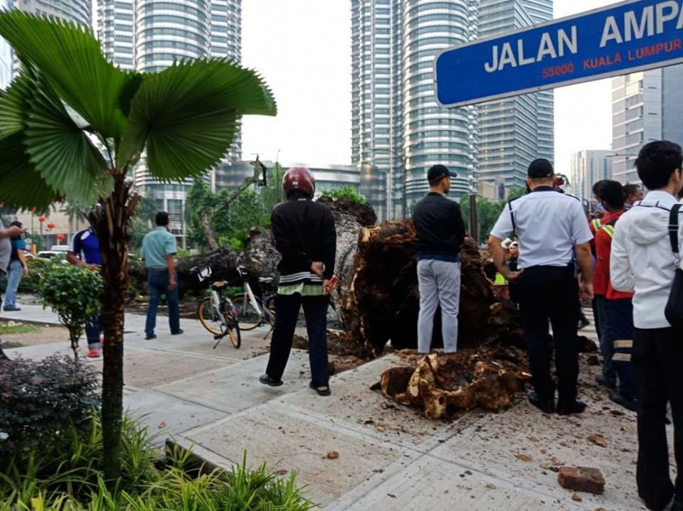 Pokok tumbang depan KLCC, dua cedera dihempap