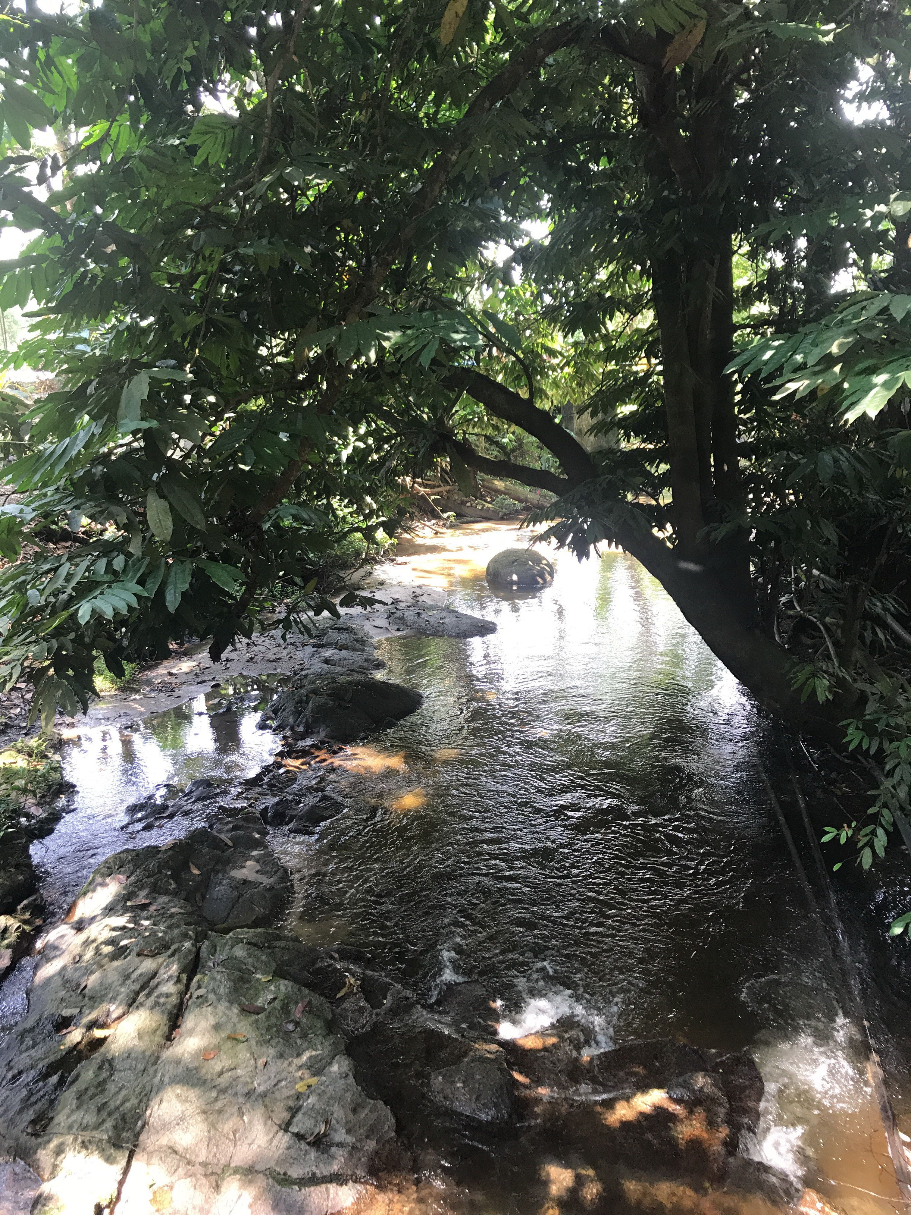 Sungai Tengkala tarik 9,000 pengunjung setiap bulan