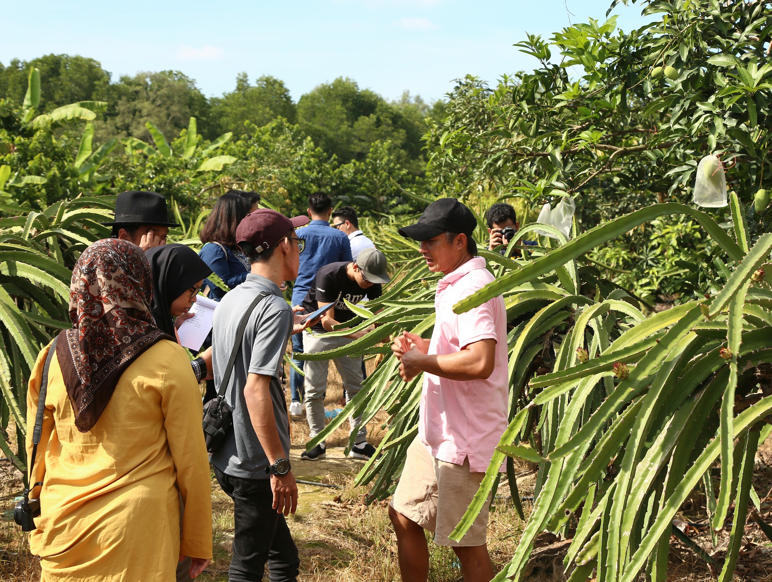 Ladang Buah Naga Sepang, tembusi pasaran asing