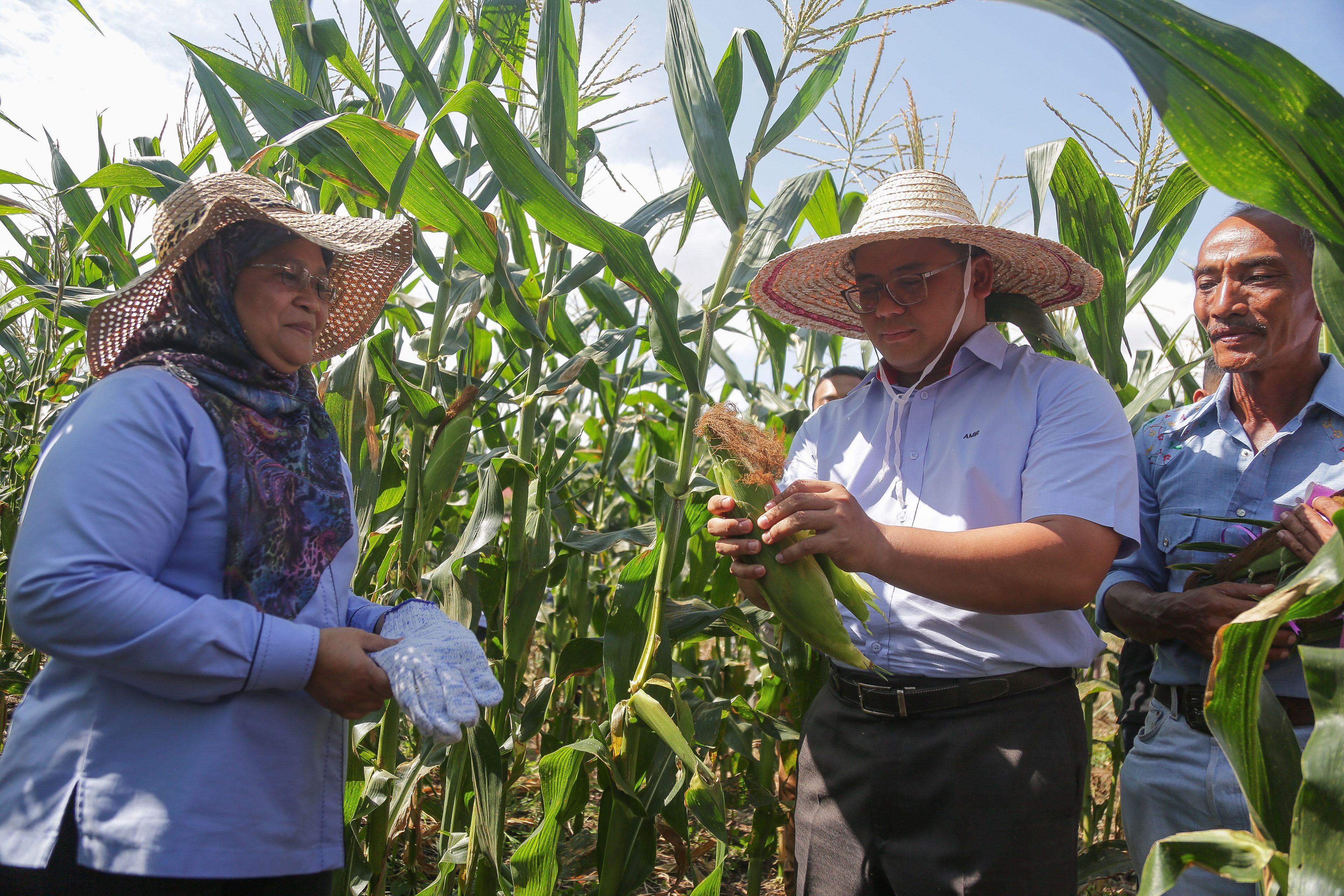TKPM peluang petani kembangkan perniagaan