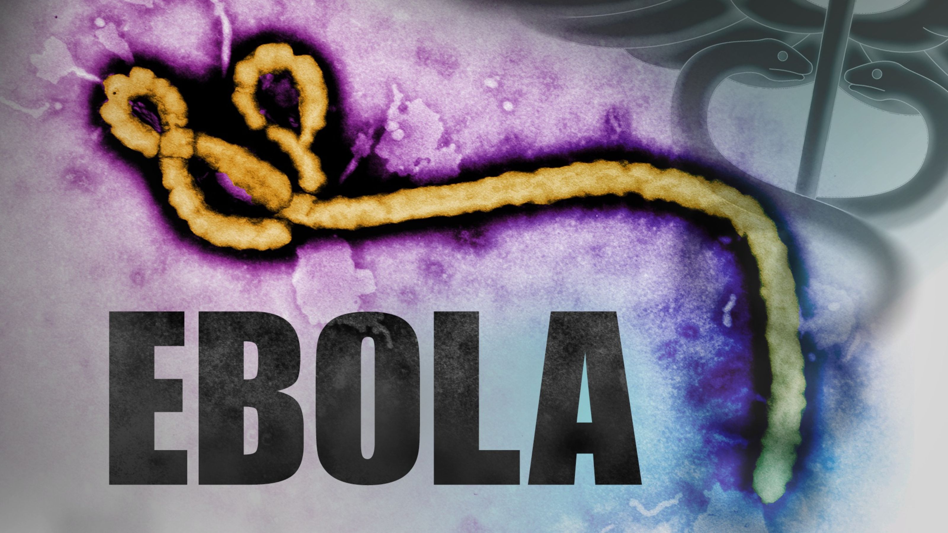 Kementerian Kesihatan Uganda isytihar wabak Ebola di negara itu berakhir