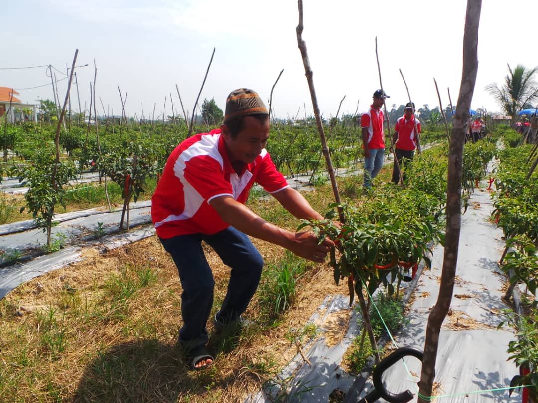 Program Selangor Prihatin di Kelantan diteruskan dengan peserta baru