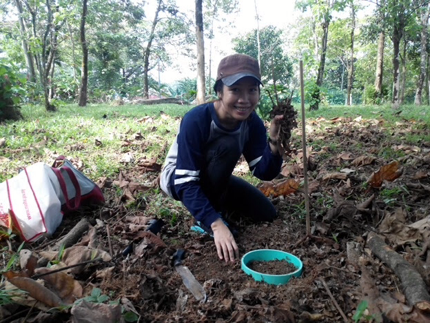 Trees’ species and age affect carbon emissions