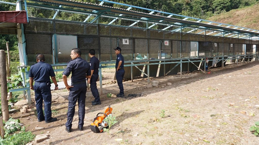 MDKS roboh kilang ternakan itik haram