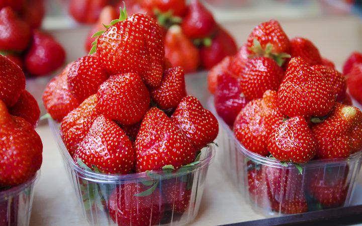 Strawberi jarum merebak ke New Zealand