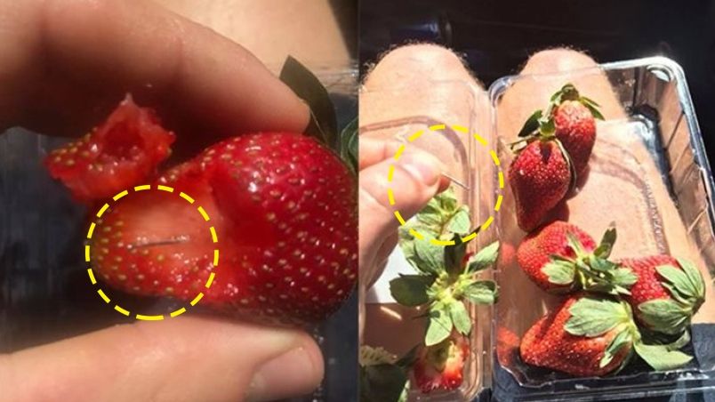 Habuan hampir RM300,000 untuk maklumat pensabotaj strawberi