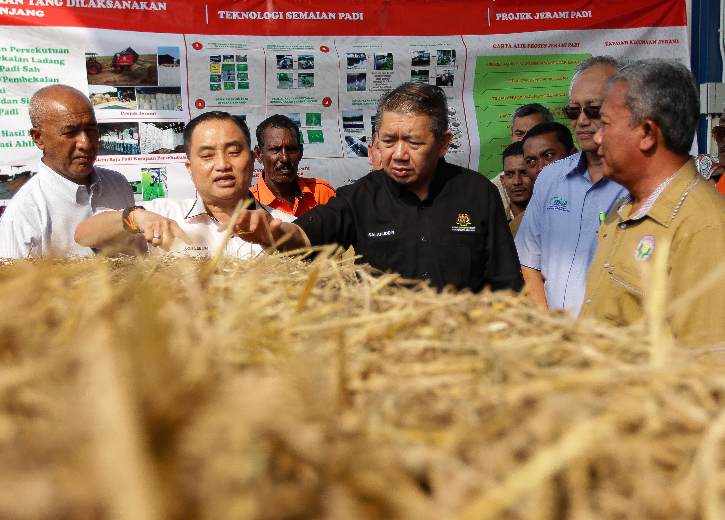 Pemutihan subsidi pesawah dilaksana pastikan bantuan telus