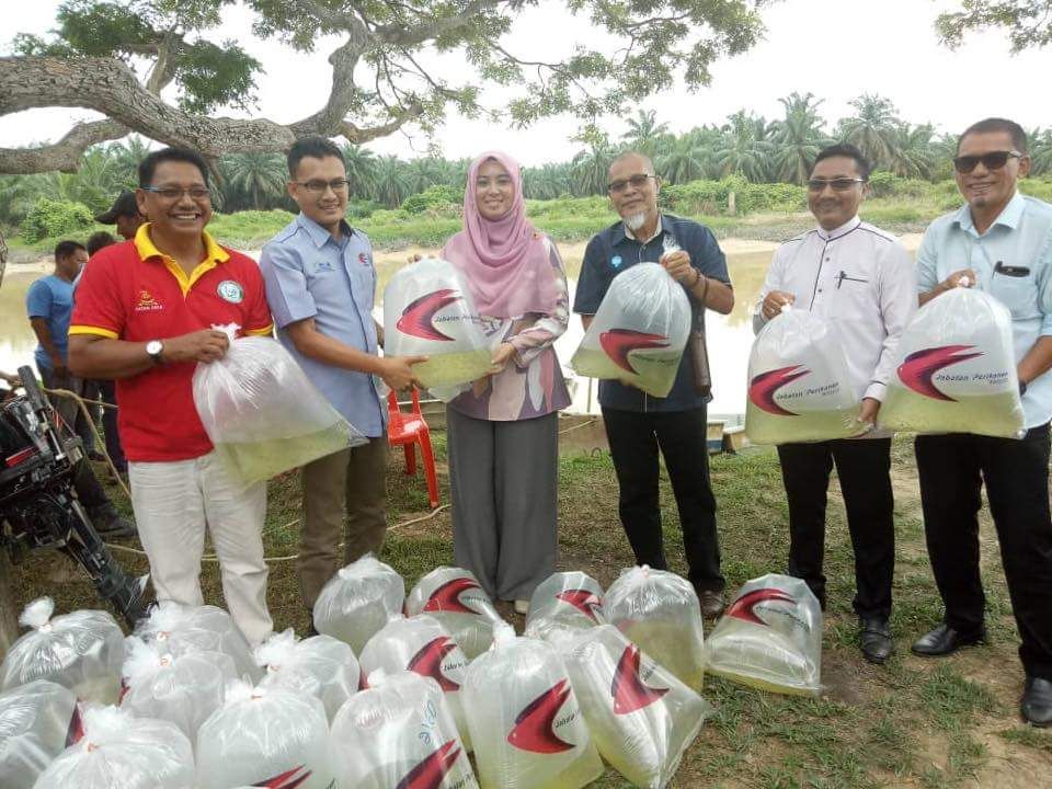 Lepas 50,000 anak benih udang galah, pulihara habitat