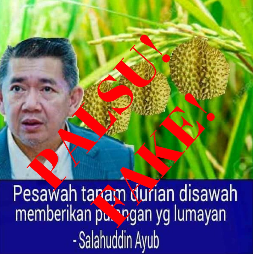 Menteri sangkal dakwaan galak pesawah tanam durian