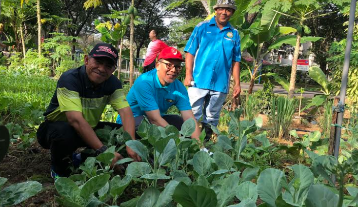 Kebun komuniti beri manfaat, penglibatan generasi muda mesti dipertingkat