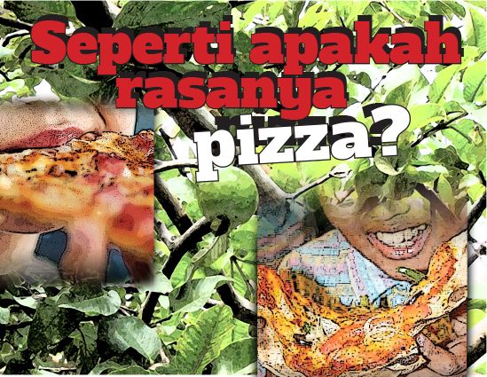 Seperti apakah rasanya pizza?