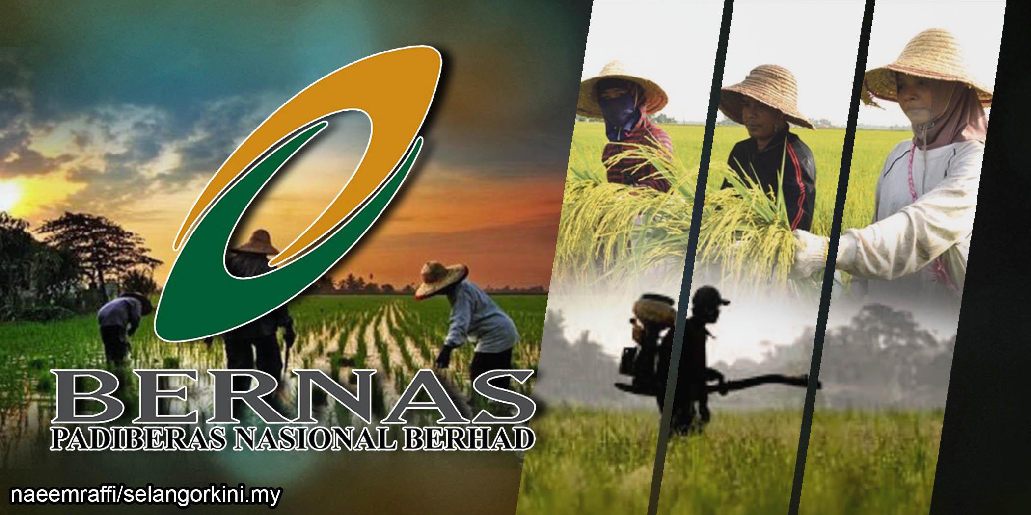 Tamat monopoli Bernas: Kerajaan jamin golongan petani tidak diabaikan