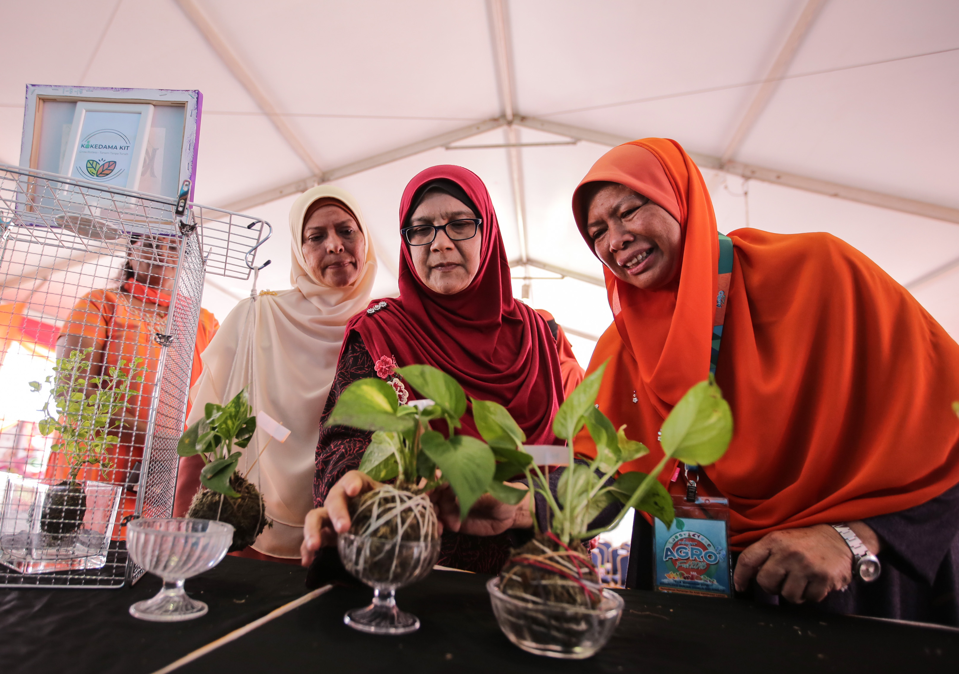 Wanita digalakkan sertai pertanian, variasikan produk keluaran