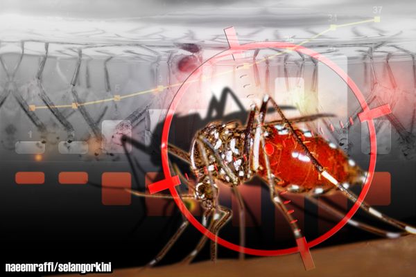 MPAJ's Search & Destroy Method To Rid Dengue